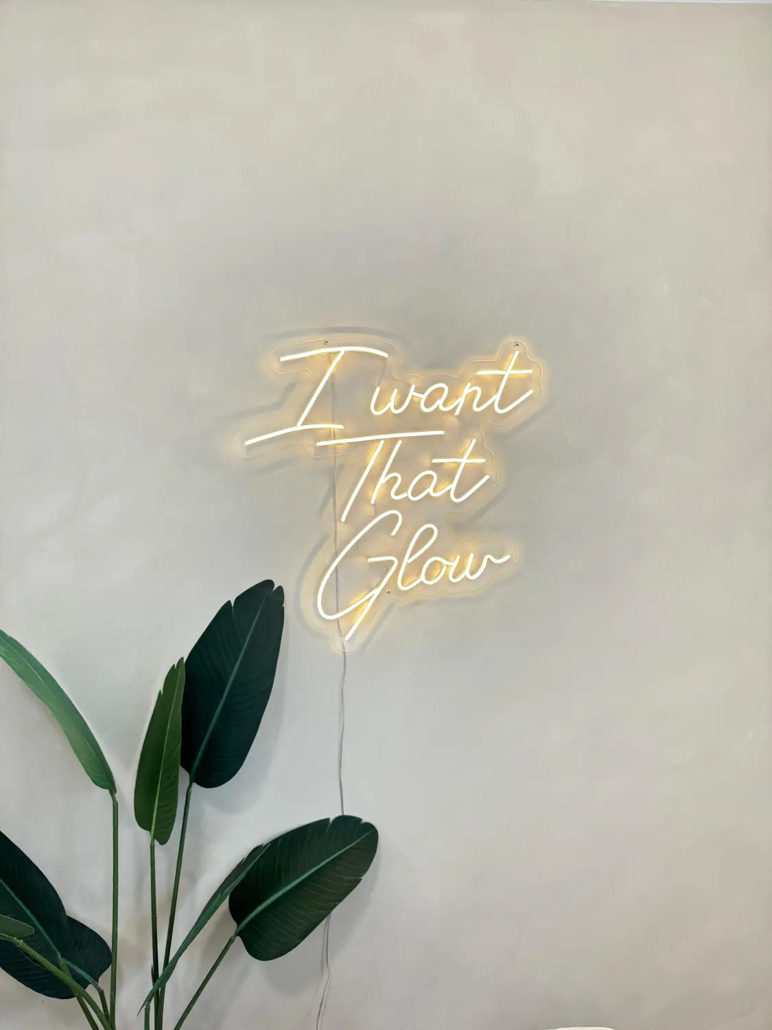 Ewig Bau GmbH - Leuchtreklame „I want that glow“ an der Wand und eine Pflanze